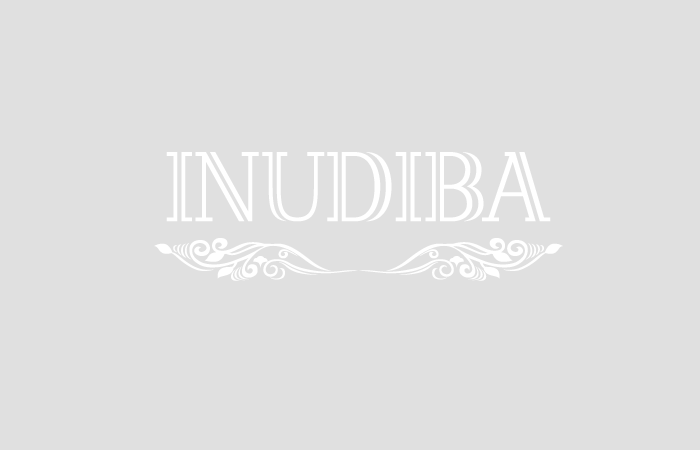 インディバとは - インディバ専門店「銀座INUDIBA」